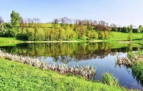 Nice Home in Pfaffroda With Wifi and 2 Bedrooms - Image 5