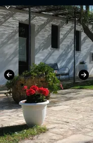 Elegant Double Room in Ancient Masseria Near the sea in a Quiet Olive Trees - Image 3