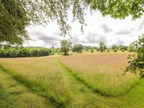 The Spinney Lodge - Image 3