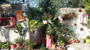 Garden Fiorella - Image 5