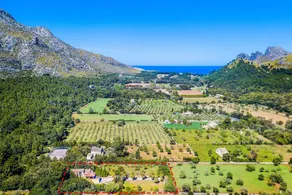 Finca Tomas - Image 3