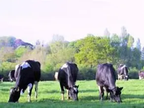 Canonsgrove Farm - Image 5