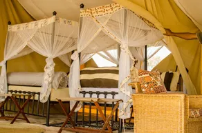 Ngorongoro Tented Camp - Image 2