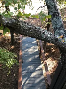 Grandview Treetops - Image 4