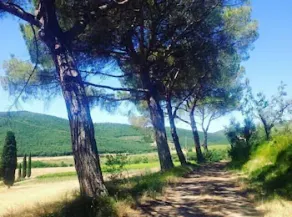 Agriturismo Villa Rancio - Image 4