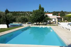 One bedroom appartement with shared pool enclosed garden and wifi at Specchia - Image 3