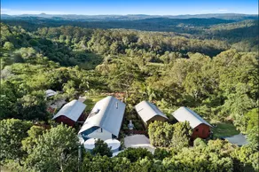 Jetavana Grove - Image 5