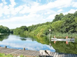 Beautiful Holiday Home in Ry With Sauna - Image 2