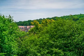 Gastehaus Am Luisenpark - Image 3