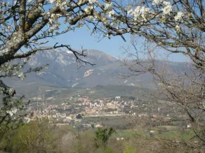 Agriturismo Serpanera - Image 5