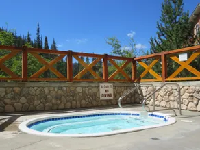 Fireside Lodge by Bear Country - Image 5