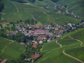 Gasthaus Hohberg - Image 3