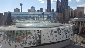 Heart of Dt,a/c,stampede,dome,bmo,roof Patio,bbq,gym - Image 5
