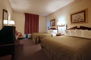 LEXINGTON SUITES OF JONESBORO - Image 4