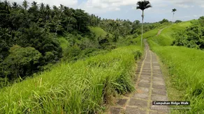 ZEN Premium Ubud Hanoman II - Image 3