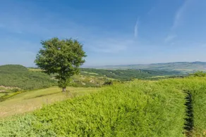 Verdidea Podere Del Mezzadro - Image 3