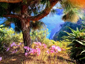 Funchal Apt- Sleeps 2 - Pool & Parking - Madeira - Image 2