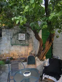 Zimmer Lemon Tree - Image 5