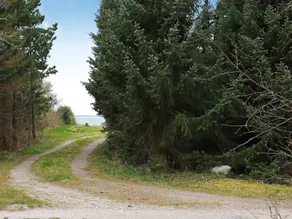 4 star holiday home in Martofte - Image 3
