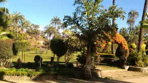 Manwar Garden Resort (Pure Veg) - Image 4