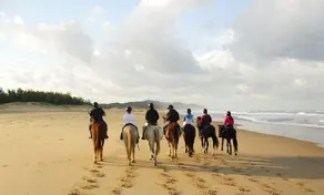 St Lucia Escape - Image 3