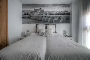 Apartamentos Monteras Córdoba Centro - Image 5