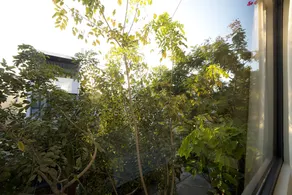 Gilda Hostel Apartment - Image 5