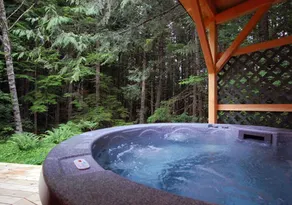 Stormking Hotel at Mt. Rainier - Image 3