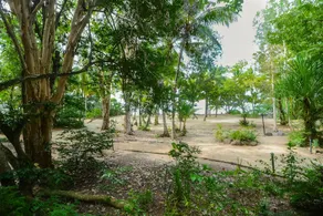 Kewarra Beach Resort & Spa - Image 3