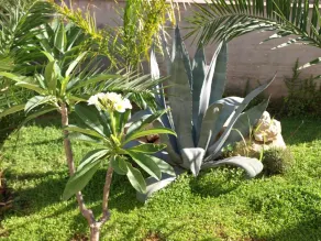 Guesthouse Anchise 38 - Image 3