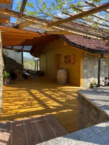 Vineyard cottage Stopar - Image 2