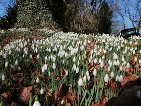 The Old Vicarage Hereford - Image 3