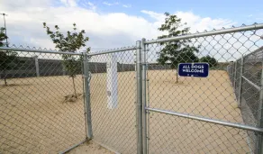 Pine Island - Image 5