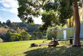 Mount Olive - Image 3
