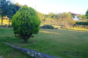 House With 3 Bedrooms in Gondomar, With Wonderful Mountain View, Private Pool and Wifi - 8 km From the Beach - Image 4