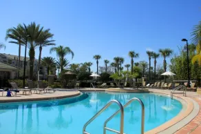 Luxury Oasis - Image 2