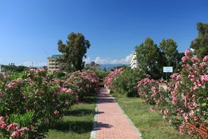 Atlas Beach Hotel - Image 2