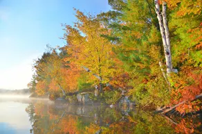 Oastler Ridge ~ Fabulous Oastler Lake Cottage With SW Exposure for the Perfect Sunset Views! - Image 3