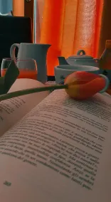 Hotel Mediterraneo - Image 3