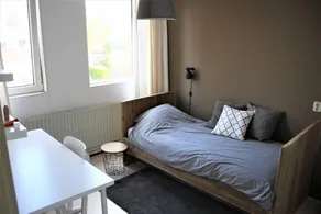 Diemer 6 - Image 3