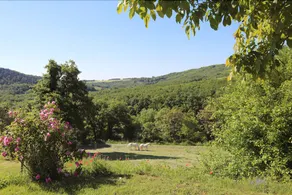 Serène - Image 3
