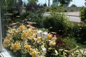 Mettawas End - Image 3