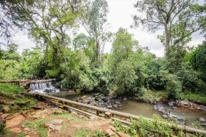 Kimugu River Lodge - Image 2