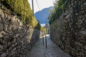 Cottage Degli Ulivi - Image 4