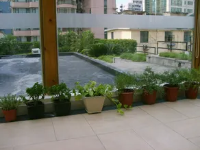 Asset - Image 5