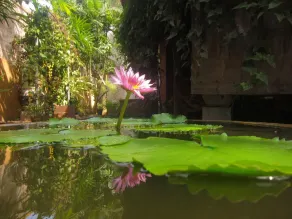 Sri Voc Homestay - Image 2