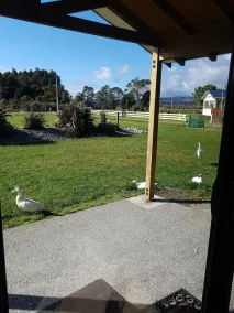 Blackhouse Guesthouse - Image 5