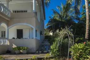 Tall Palms - Image 5