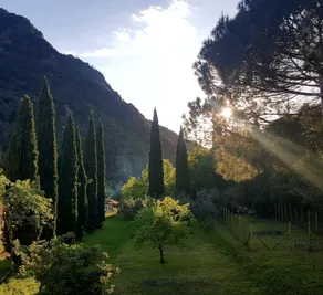 Tre Ponti - Image 3