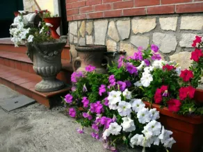 B&B Maison Fleurie - Image 3